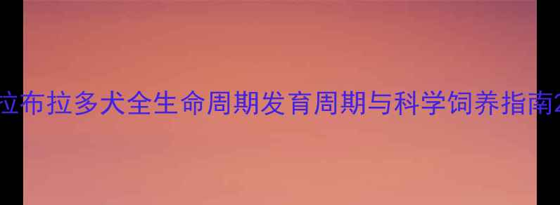 图片 拉布拉多犬全生命周期发育周期与科学饲养指南2