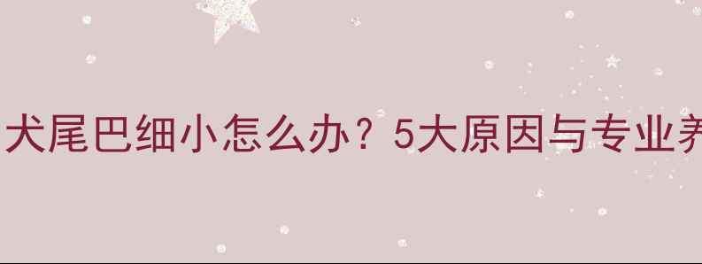 图片 拉布拉多犬尾巴细小怎么办？5大原因与专业养护指南2