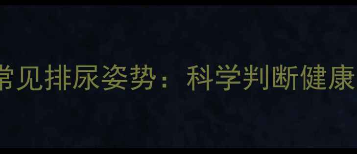 图片 拉布拉多犬常见排尿姿势：科学判断健康与行为指南1
