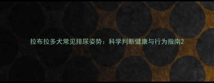 图片 拉布拉多犬常见排尿姿势：科学判断健康与行为指南2