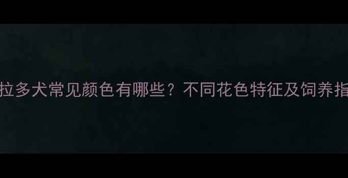 图片 拉布拉多犬常见颜色有哪些？不同花色特征及饲养指南全
