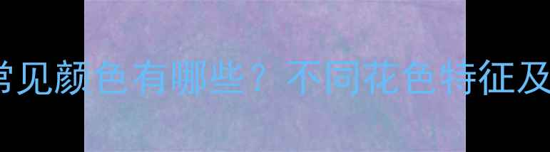 图片 拉布拉多犬常见颜色有哪些？不同花色特征及饲养指南全2