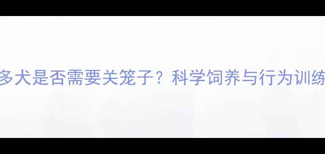 图片 拉布拉多犬是否需要关笼子？科学饲养与行为训练全指南