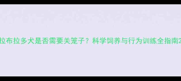 图片 拉布拉多犬是否需要关笼子？科学饲养与行为训练全指南2