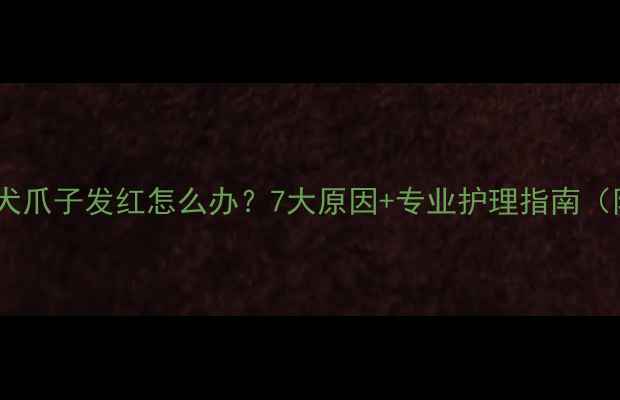 图片 拉布拉多犬爪子发红怎么办？7大原因+专业护理指南（附图解）2