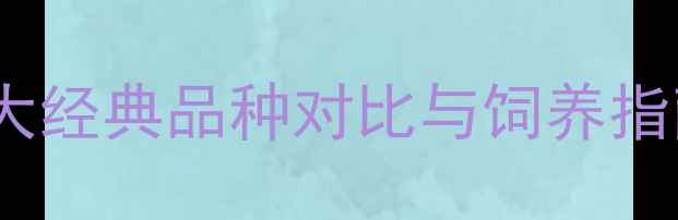 图片 拉布拉多犬种全：6大经典品种对比与饲养指南（附品种特征表）