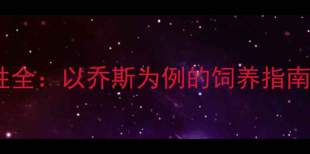 图片 拉布拉多犬种特性全：以乔斯为例的饲养指南与健康护理科普1