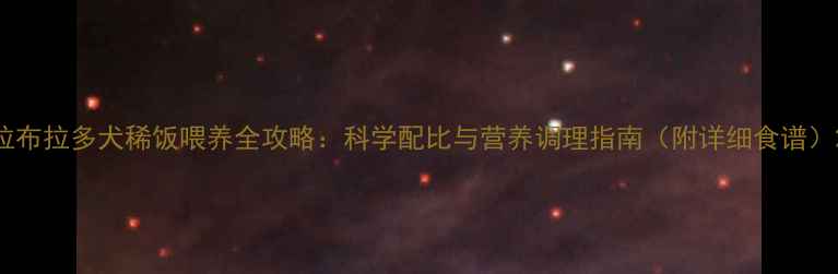 图片 拉布拉多犬稀饭喂养全攻略：科学配比与营养调理指南（附详细食谱）2