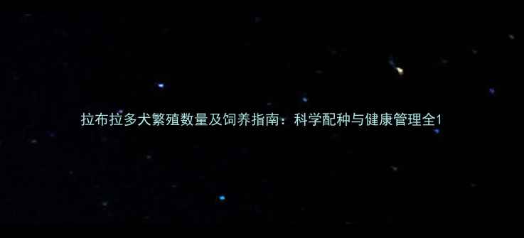 图片 拉布拉多犬繁殖数量及饲养指南：科学配种与健康管理全1