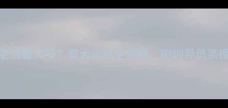 图片 拉布拉多犬能当警犬吗？警犬训练全流程，附训导员亲授选犬技巧！