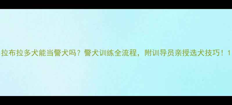 图片 拉布拉多犬能当警犬吗？警犬训练全流程，附训导员亲授选犬技巧！1