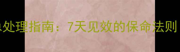 图片 拉布拉多犬腹泻紧急处理指南：7天见效的保命法则（附专业兽医建议）