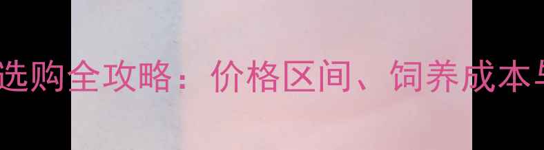 图片 拉布拉多犬选购全攻略：价格区间、饲养成本与健康保障2