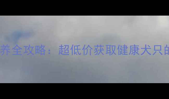 图片 拉布拉多犬领养全攻略：超低价获取健康犬只的6大正规渠道