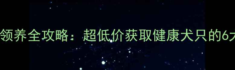 图片 拉布拉多犬领养全攻略：超低价获取健康犬只的6大正规渠道2