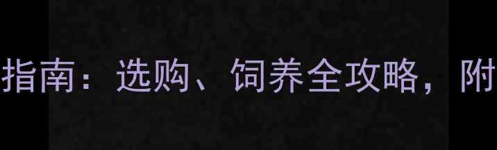 图片 拉布拉多犬领养指南：选购、饲养全攻略，附健康与训练技巧