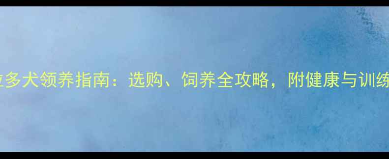 图片 拉布拉多犬领养指南：选购、饲养全攻略，附健康与训练技巧1