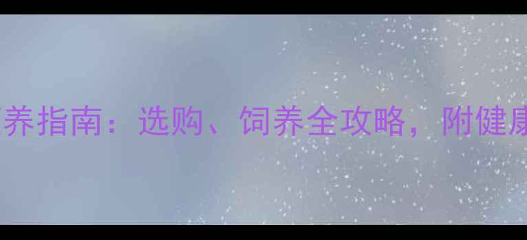 图片 拉布拉多犬领养指南：选购、饲养全攻略，附健康与训练技巧2