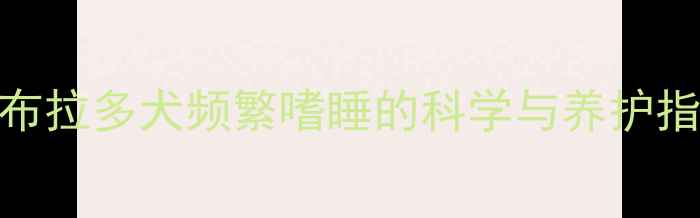 图片 拉布拉多犬频繁嗜睡的科学与养护指南