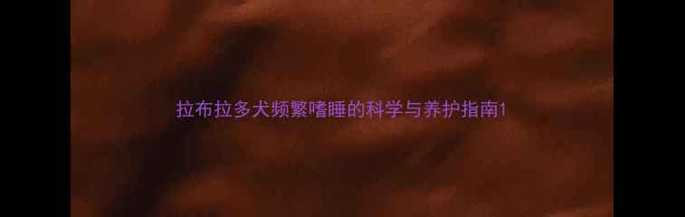 图片 拉布拉多犬频繁嗜睡的科学与养护指南1