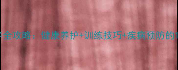 图片 拉布拉多犬饲养全攻略：健康养护+训练技巧+疾病预防的120天科学指南1