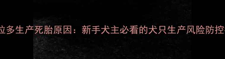 图片 拉布拉多生产死胎原因：新手犬主必看的犬只生产风险防控指南2