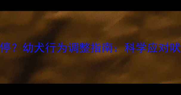 图片 拉布拉多疫苗后总叫个不停？幼犬行为调整指南：科学应对吠叫不止的5个关键步骤！2