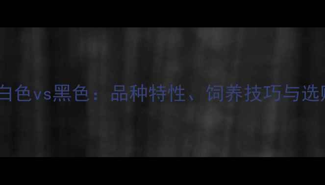 图片 拉布拉多白色vs黑色：品种特性、饲养技巧与选购指南全2