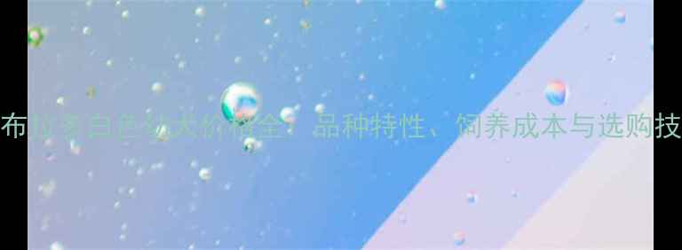 图片 拉布拉多白色幼犬价格全：品种特性、饲养成本与选购技巧