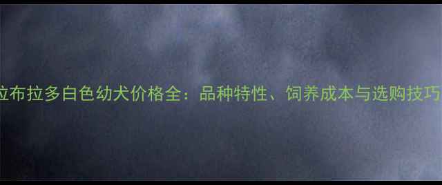 图片 拉布拉多白色幼犬价格全：品种特性、饲养成本与选购技巧1