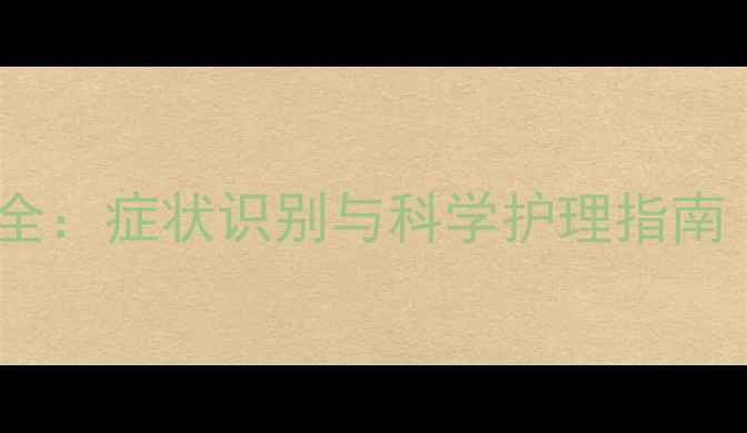 图片 拉布拉多皮肤真菌病全：症状识别与科学护理指南（附专业治疗方案）1