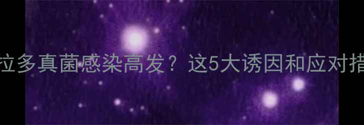图片 拉布拉多真菌感染高发？这5大诱因和应对措施全