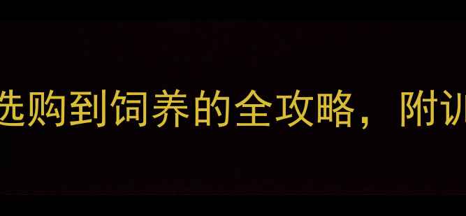 图片 拉布拉多种公银河：从选购到饲养的全攻略，附训练技巧和健康养护指南