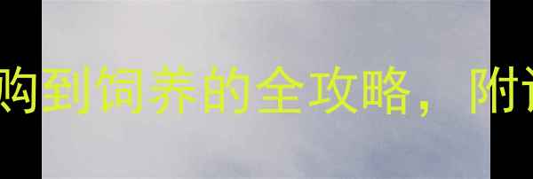 图片 拉布拉多种公银河：从选购到饲养的全攻略，附训练技巧和健康养护指南2