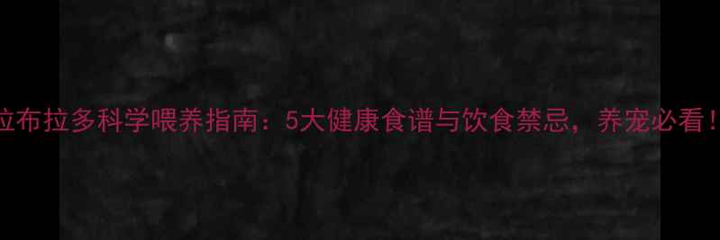图片 拉布拉多科学喂养指南：5大健康食谱与饮食禁忌，养宠必看！