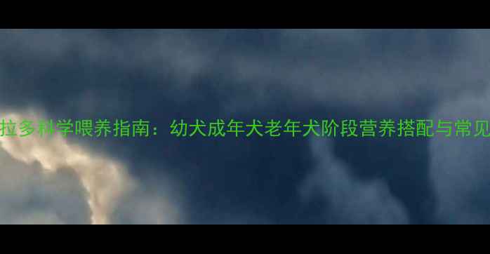 图片 拉布拉多科学喂养指南：幼犬成年犬老年犬阶段营养搭配与常见误区