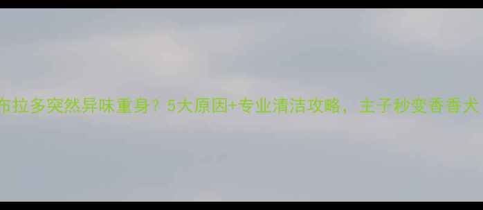 图片 拉布拉多突然异味重身？5大原因+专业清洁攻略，主子秒变香香犬！2