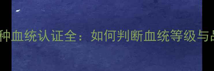 图片 拉布拉多纯种血统认证全：如何判断血统等级与品相价值？1