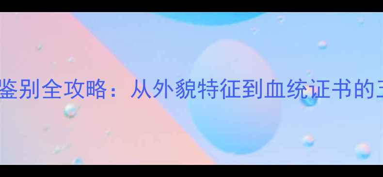 图片 拉布拉多纯种鉴别全攻略：从外貌特征到血统证书的五大核心标准2