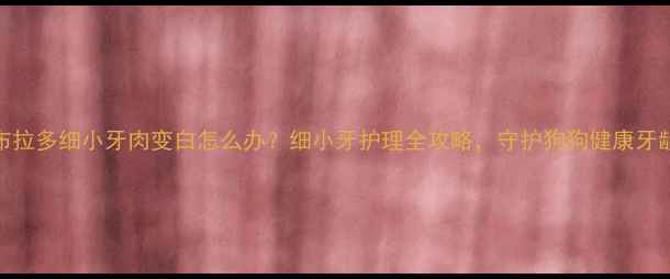 图片 拉布拉多细小牙肉变白怎么办？细小牙护理全攻略，守护狗狗健康牙龈！