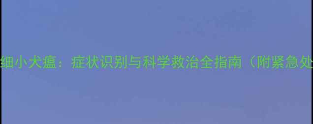 图片 拉布拉多细小犬瘟：症状识别与科学救治全指南（附紧急处理流程）