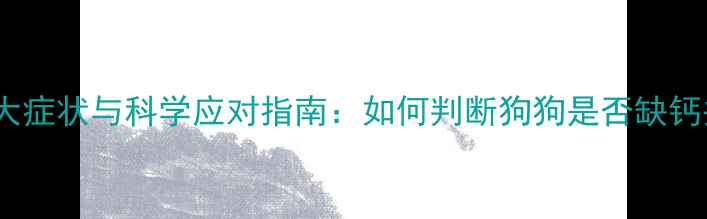 图片 拉布拉多缺钙的7大症状与科学应对指南：如何判断狗狗是否缺钙并预防骨骼问题？