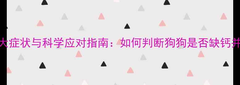 图片 拉布拉多缺钙的7大症状与科学应对指南：如何判断狗狗是否缺钙并预防骨骼问题？1