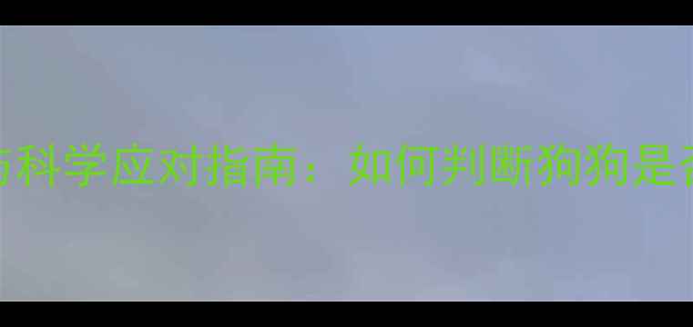 图片 拉布拉多缺钙的7大症状与科学应对指南：如何判断狗狗是否缺钙并预防骨骼问题？2