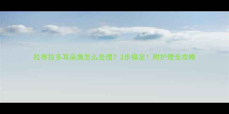 图片 拉布拉多耳朵臭怎么处理？3步搞定！附护理全攻略