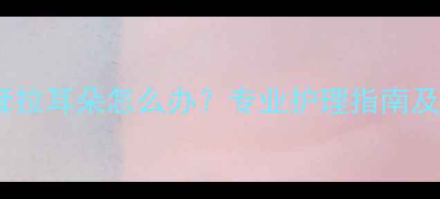 图片 拉布拉多耷拉耳朵怎么办？专业护理指南及常见误区1