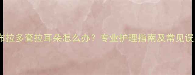 图片 拉布拉多耷拉耳朵怎么办？专业护理指南及常见误区2