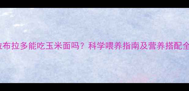 图片 拉布拉多能吃玉米面吗？科学喂养指南及营养搭配全2
