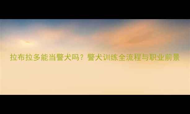 图片 拉布拉多能当警犬吗？警犬训练全流程与职业前景