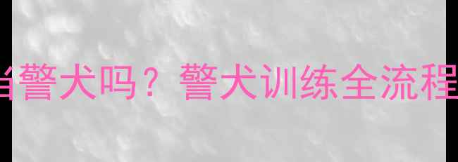 图片 拉布拉多能当警犬吗？警犬训练全流程与职业前景1